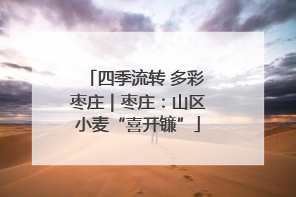 四季流转 多彩枣庄｜枣庄：山区小麦“喜开镰”