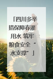 四川多举措保障春灌用水 筑牢粮食安全“水支撑”