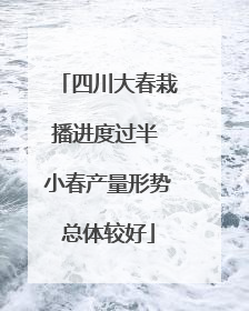 四川大春栽播进度过半 小春产量形势总体较好