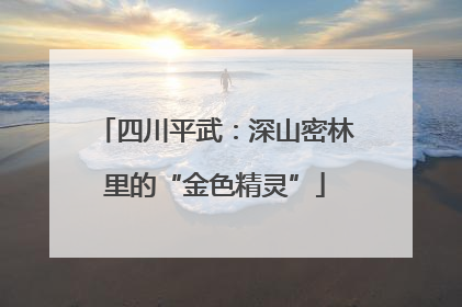四川平武：深山密林里的“金色精灵”