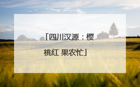 四川汉源：樱桃红 果农忙