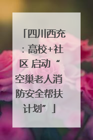 四川西充：高校+社区 启动“空巢老人消防安全帮扶计划”