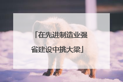 在先进制造业强省建设中挑大梁