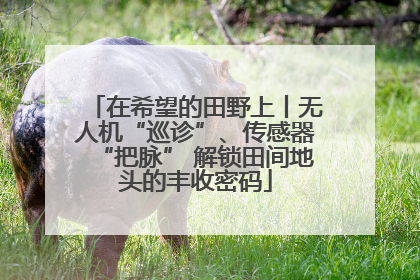 在希望的田野上丨无人机“巡诊”、传感器“把脉” 解锁田间地头的丰收密码