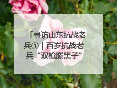 寻访山东抗战老兵①｜百岁抗战老兵“双枪滕黑子”：被粟裕称赞的“孤胆英雄”