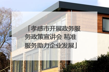 孝感市开展政务服务政策宣讲会 精准服务助力企业发展
