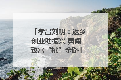 孝昌刘明：返乡创业助振兴 勇闯致富“桃”金路