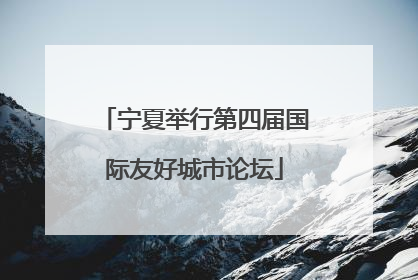 宁夏举行第四届国际友好城市论坛