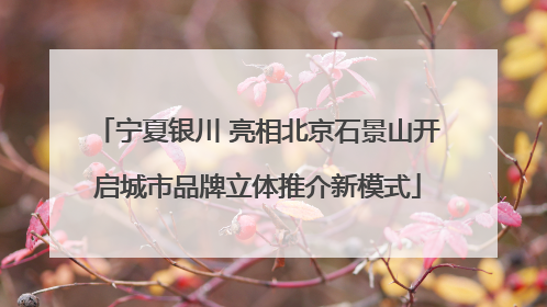 宁夏银川 亮相北京石景山开启城市品牌立体推介新模式