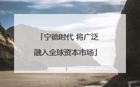 宁德时代 将广泛融入全球资本市场