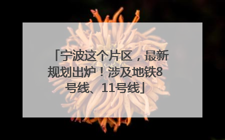 宁波这个片区，最新规划出炉！涉及地铁8号线、11号线