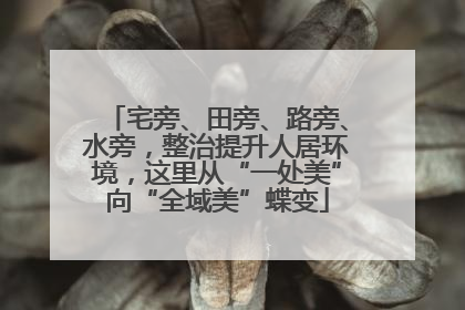 宅旁、田旁、路旁、水旁，整治提升人居环境，这里从“一处美”向“全域美”蝶变