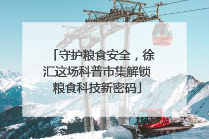 守护粮食安全，徐汇这场科普市集解锁粮食科技新密码