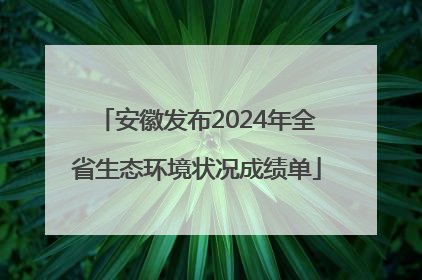 安徽发布2024年全省生态环境状况成绩单
