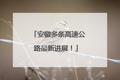 安徽多条高速公路最新进展！
