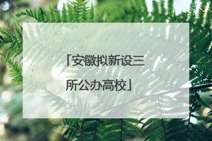 安徽拟新设三所公办高校