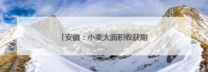 安徽：小麦大面积收获期在5月26日至6月上旬