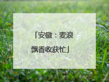 安徽：麦浪飘香收获忙
