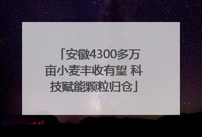安徽4300多万亩小麦丰收有望 科技赋能颗粒归仓