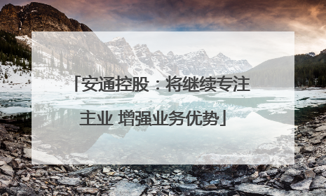 安通控股：将继续专注主业 增强业务优势