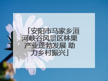 安阳市马家乡洹河峡谷风景区林果产业蓬勃发展 助力乡村振兴