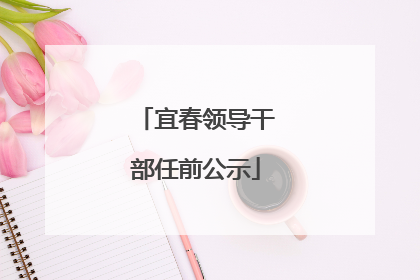 宜春领导干部任前公示