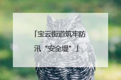 宝云街道筑牢防汛“安全堤”