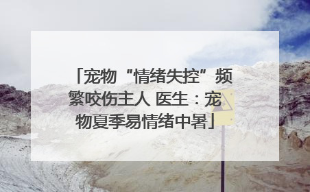 宠物“情绪失控”频繁咬伤主人 医生：宠物夏季易情绪中暑