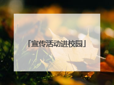 宣传活动进校园