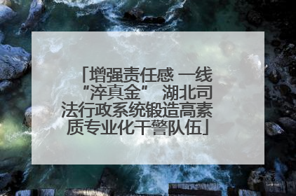 增强责任感 一线“淬真金” 湖北司法行政系统锻造高素质专业化干警队伍
