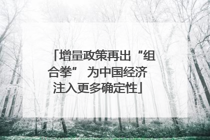 增量政策再出“组合拳” 为中国经济注入更多确定性