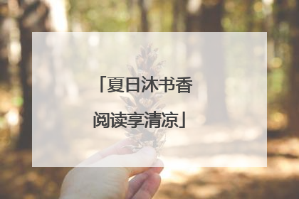 夏日沐书香 阅读享清凉