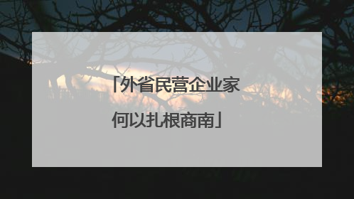 外省民营企业家何以扎根商南