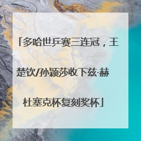 多哈世乒赛三连冠，王楚钦/孙颖莎收下兹·赫杜塞克杯复刻奖杯