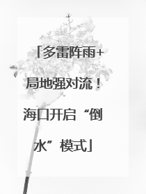 多雷阵雨+局地强对流！海口开启“倒水”模式