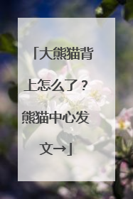 大熊猫背上怎么了？熊猫中心发文→