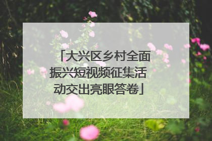 大兴区乡村全面振兴短视频征集活动交出亮眼答卷