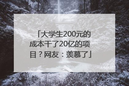 大学生200元的成本干了20亿的项目？网友：羡慕了