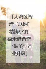 大湾区智造“联姻”精铸小镇 嘉禾借合作“破茧”产业升级