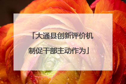 大通县创新评价机制促干部主动作为