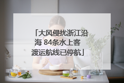 大风侵扰浙江沿海 84条水上客渡运航线已停航