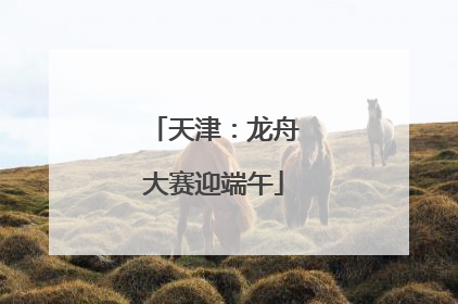 天津：龙舟大赛迎端午