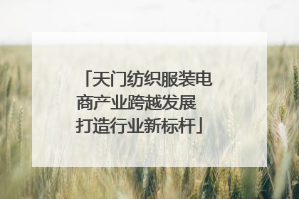 天门纺织服装电商产业跨越发展 打造行业新标杆