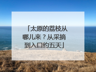 太原的荔枝从哪儿来？从采摘到入口约五天