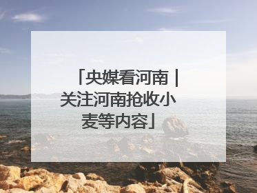 央媒看河南｜关注河南抢收小麦等内容