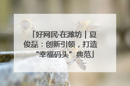 好网民·在潍坊｜夏俊磊：创新引领，打造“幸福码头”典范