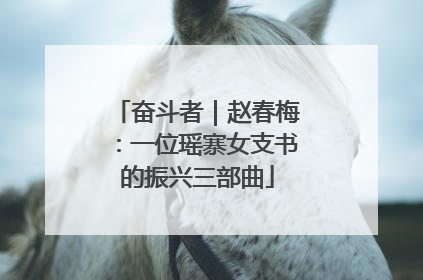 奋斗者｜赵春梅：一位瑶寨女支书的振兴三部曲