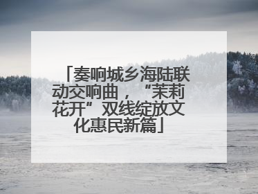 奏响城乡海陆联动交响曲，“茉莉花开”双线绽放文化惠民新篇