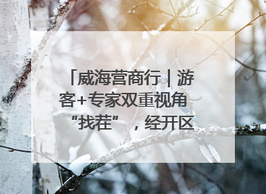 威海营商行｜游客+专家双重视角“找茬”，经开区文旅市场开展暑期前“体检”