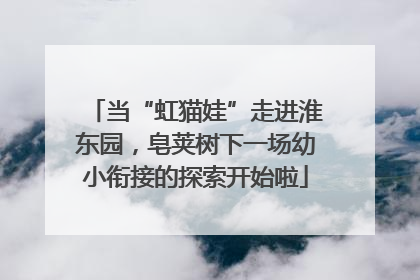 当“虹猫娃”走进淮东园，皂荚树下一场幼小衔接的探索开始啦
